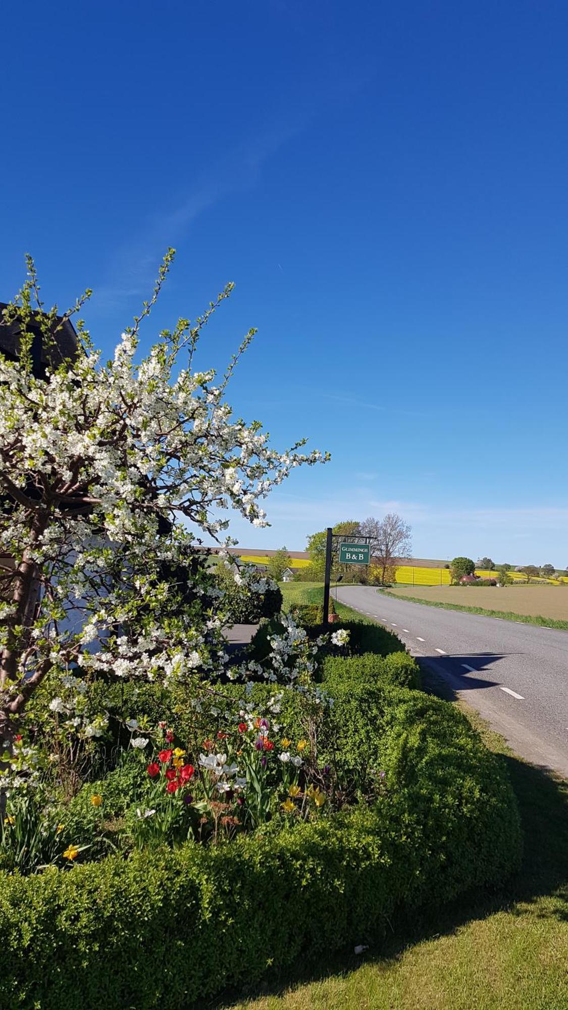 Glimminge Bed&Breakfast Simrishamn Exterior foto