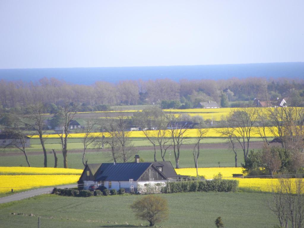 Glimminge Bed&Breakfast Simrishamn Exterior foto