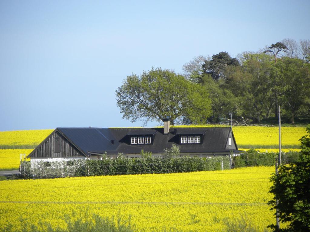 Glimminge Bed&Breakfast Simrishamn Exterior foto