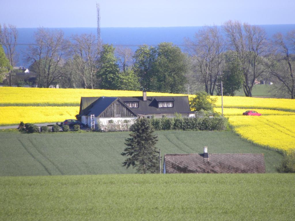 Glimminge Bed&Breakfast Simrishamn Exterior foto