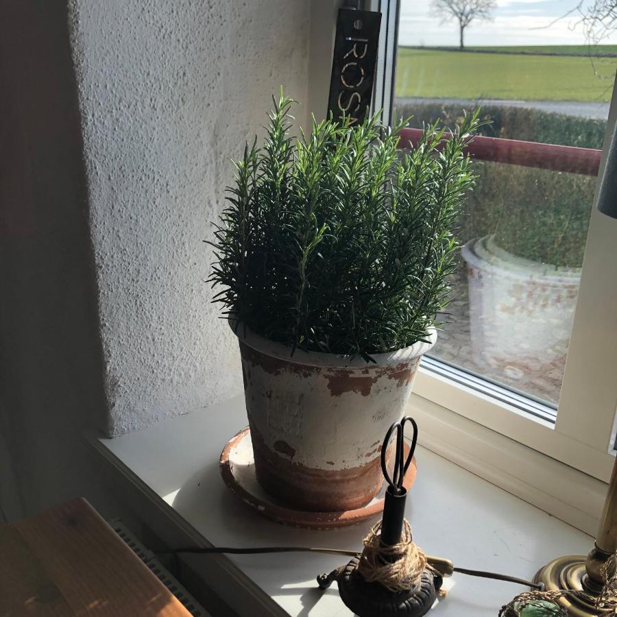 Glimminge Bed&Breakfast Simrishamn Exterior foto